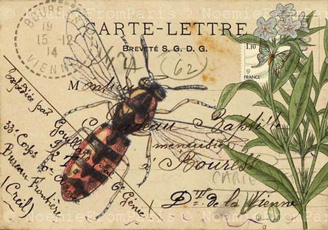 Postcard Illustration, Illustration Collage, Etiquette Vintage, Postal Vintage, Foto Transfer, Pocket Letter, Vintage Bee, Envelope Art, Postcard Art