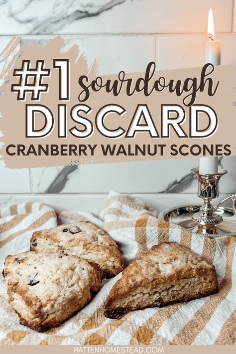 These sourdough discard cranberry walnut scones are quick and easy to whip up and taste absolutely delicious! Perfect for a quick holiday season breakfast or tea time. Cranberry Sourdough Scones, Sourdough Gingerbread Scones, Cranberry Scones, Scones Recipe Easy, Sourdough Starter Discard Recipe, Sourdough Starter Recipe, Sourdough Bread Recipe, Cranberry Recipes, Pastry Blender