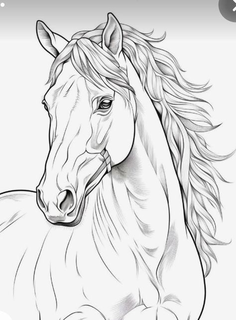 Horse Outline, Horse Coloring Books, Horse Art Drawing, Horse Sketch, Free Horses, Horse Coloring Pages, صفحات التلوين, Horse Tattoo, Horse Drawing