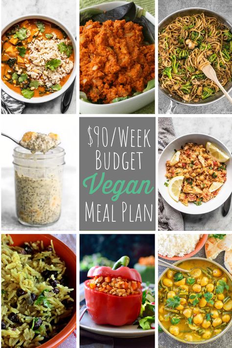 If you're looking for a way to eat a vegan diet without breaking the bank, check out our $90/week budget vegan meal plan with printables! via @southernsavers Budget Vegan Meal Plan, Vegan Daily Meal Plan, Frugal Vegan, 1200 Calorie Diet Meal Plans, Budget Vegan, Vegan Meal Plan, Cheap Vegan Meals, Frugal Food, Deep Pantry