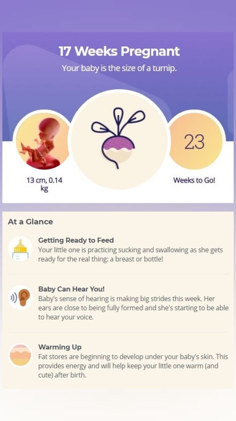 Pregnancy 17 Weeks, Pregnancy Development, 17 Weeks Pregnant, Baby Countdown, Fetal Movement, Pregnancy Week, Mommy Time, Fetal Development, Second Trimester