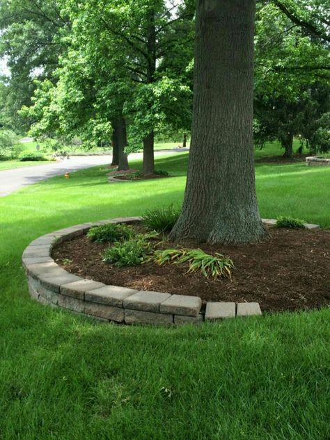 Hardscape Around Tree, Circle Around Tree, Circle Walkway, Stone Around Tree Base, Round A Bout Driveway Landscaping, Tree Circle Landscape, Driveway Lined With Trees, Curved Front Sidewalk, Stone Tree Ring Landscape