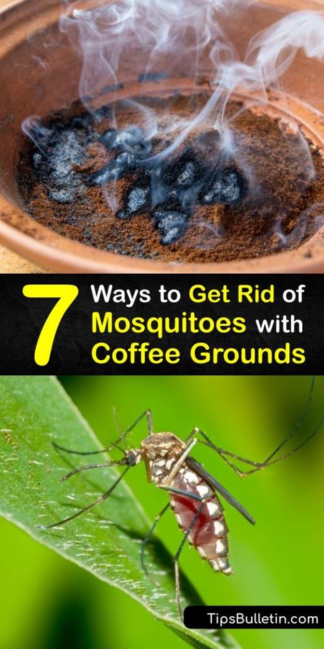 What Kills Mosquitos, Natural Mosquito Repellant For Home, Best Mosquito Repellent For Yard, Plants That Ward Off Mosquitos, Home Mosquito Repellent, Pest Repellent Diy, Mosquitoes Repellent For Yard, Indoor Mosquito Repellent Diy, Homemade Misquote Repellent