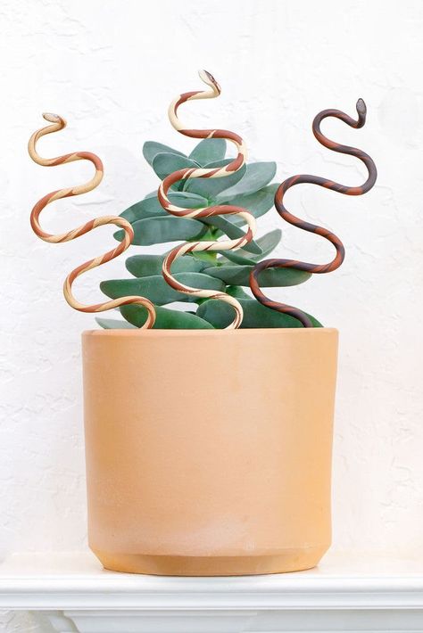 Our ceramic plant snake stakes add a unique and fun addition to any plant! The plant pals come in two sizes (medium & large) and three different colorways. All ceramic snakes are handmade and will differ slightly from the photo. Each one is guaranteed to be silly, sweet and make you smile! Snake dimensions vary, but are approximately:Medium - 13" x 4"Large - 16" x 4" Ceramic Plant Stakes, Rose Ceramics, Plant Trellis, Diy Concrete Planters, Rose Plant, Be Silly, Trellis Plants, Planting Roses, Two Birds