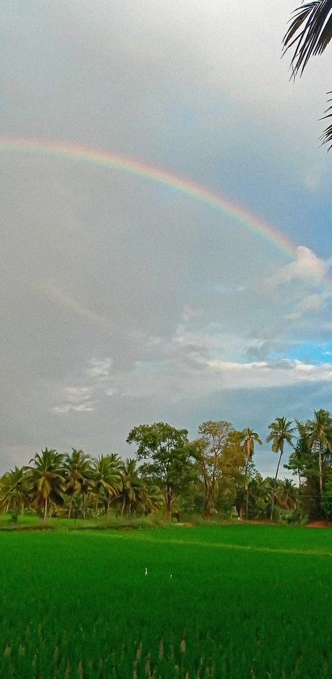 Aesthetic rainbow over the field Kerala Vibes, Palakkad Kerala, Rainbow Pin, Sky Photography Nature, Rainbow Aesthetic, Photography Nature, Sky Photography, Kerala, Nature Photography