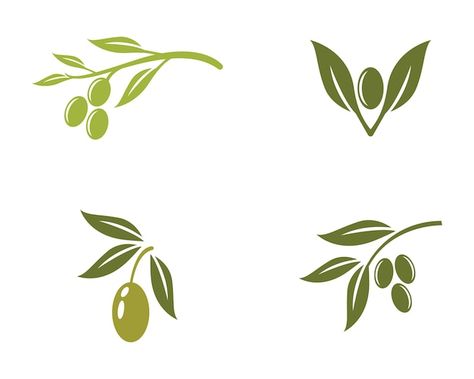 Olive Design Logo, Olive Logo Design, Olive Tree Logo, Olive Branch Logo, Olive Oil Logo, Olive Graphic, Olive Logo, Olive Tattoo, Oil Logo