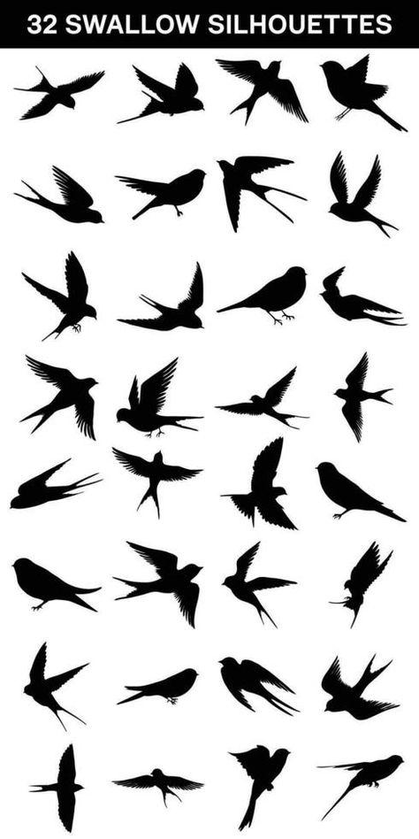 ollection of Swallows silhouette isolated on white background Swallow Silhouette, Swallow Art, Art Fair Booth, Fair Booth, Background Background, Swallows, Background White, Vector Background, Art Fair