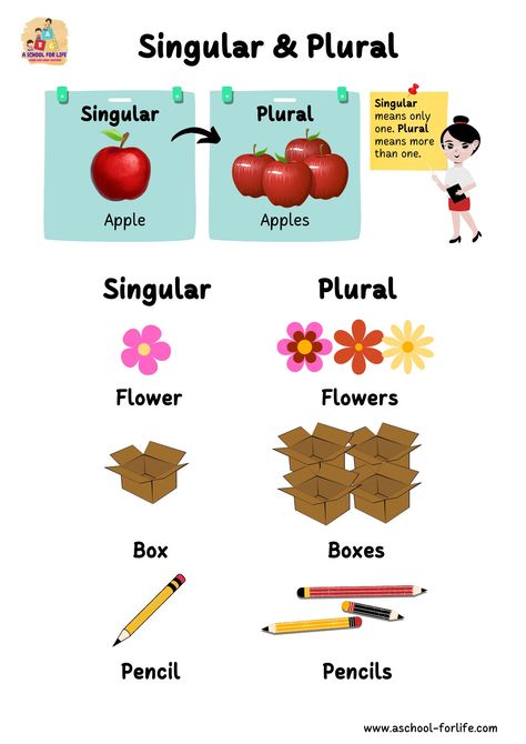 Singular and Plural Singular Plural Chart, Singular Plural Worksheets, Singular To Plural, Teacher Rp, Nouns For Kids, Plural Rules, Singular And Plural Words, English Charts, Plurals Worksheets