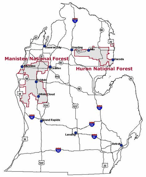 Map of the Huron-Manistee National Forests showing the location of the Forests within Michigan Travel North America, Manistee National Forest, Travel Michigan, Forest Map, Map Printable, Michigan Travel, Printable Maps, Camping Spots, Travel Brochure