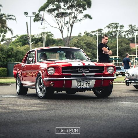 @muzzy289 on Instagram: “1964 1/2 Ford Mustang Coupe  Reposted from @sydney_machina_social_club - '64 Mustang in a stunning red. . Bring your Machine along to our…” Ford Mustang History, 64 Mustang, Mustang 65, Mustang Build, Mustang Restoration, Mustang 1964, Ford Mustang 1964, 66 Mustang, Vintage Mustang