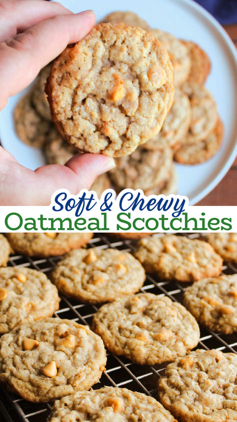 Oatmeal scotchies are soft and chewy oatmeal cookies that are bursting with brown sugar and butterscotch flavors. They are a classic treat for good reason and this is a recipe that should be in your repertoire. Chewy Oatmeal Butterscotch Cookies, Butterscotch Oatmeal Cookies Recipes, Butterscotch Cookies Oatmeal, Oatmeal Scotchies Bars, Oatmeal Scotchies Cookies Recipes, Harvest Cookies Recipe, Oatmeal Scotchies Cookies, Scotchies Cookies, Butterscotch Oatmeal Cookies