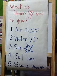 Plants Preschool, Seeds Preschool, April Preschool, Plant Lessons, Preschool Sensory, Spring Lessons, Preschool Garden, Plant Activities, Plants Unit