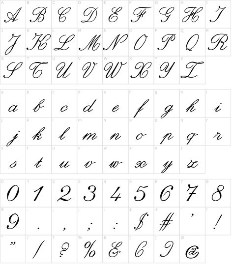 Italic Alphabet Fonts, Italic Font Alphabet, Hand Calligraphy Alphabet, Architecture Lettering Fonts Design, Italic Calligraphy Alphabet, Italics Calligraphy, Italics Font, Calligraphy Alphabet Fonts, Font Anatomy