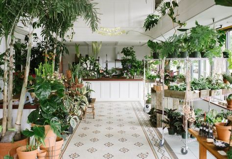 Shopper’s Diary: A Drugstore-Vintage Vibe at Solabee Flowers in Portland - Gardenista Flower Shop Interiors, Wedding Spot, Plant Aesthetic, Tree Shop, Trendy Flowers, Same Day Flower Delivery, Buy Plants, Floral Shop, Garden Shop