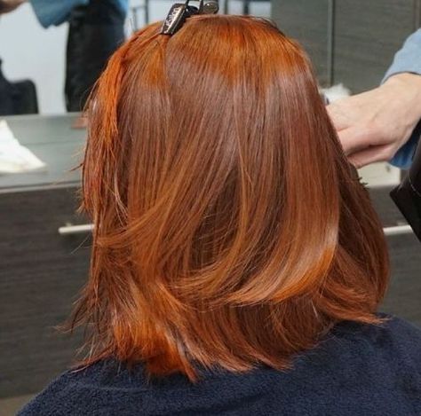 Copper Bob Hair, Warm Blonde Hair, Cowboy Copper, Short Red Hair, Red Hair Inspo, Brown Hair Inspo, Ginger Hair Color, Short Curly Haircuts, Hair Color Auburn