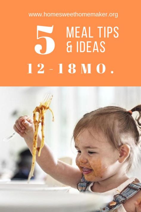 Dinner For 13 Month Old, Toddler Dinners, Baby Meal Plan, Baby Food Ideas, Protein Yogurt, Motherhood Lifestyle, Homemade Granola Bars, Starting Solids, Toddler Food