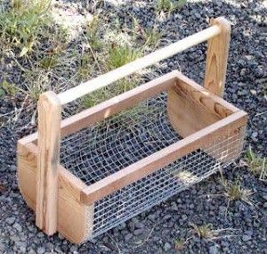 Basket Diy, Harvest Basket, Garden Basket, Basket Uses, Vegetable Basket, Homestead Survival, Diy Basket, Diy Garden Projects, Garden Seating