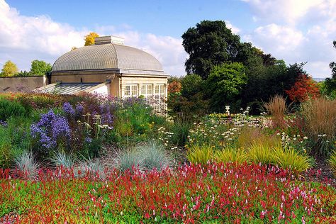 sheffield botanical gardens Late Summer Planting, Sheffield Botanical Gardens, Hot Garden, Summer Planting, Lyme Park, Sheffield Uk, Sheffield England, Yorkshire England, A Level Art