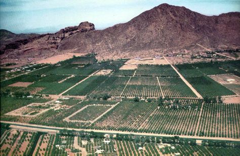 Camelback_Mountain_1956 1950s Homes, Arizona History, Orange Groves, Arizona Biltmore, Camelback Mountain, Vintage Arizona, The Fifties, Historic Photos, Arizona Travel