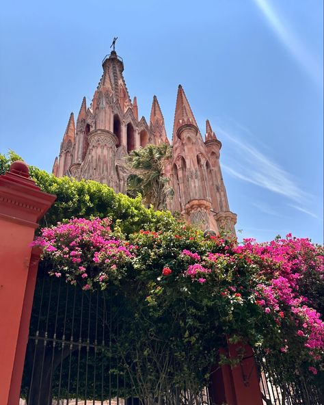 Is San Miguel de Allende on your travel bucket list? 🌸 WELL, it should be!! It’s absolutely dreamy & protected as a @unescoworldheritage site. 🗺️📍 🛬🚘❤️ You can get there by flying into Querétaro (QRO) & it’s a 1.5 hour drive from there. You can take a shuttle bus or call an Uber. Don’t miss the rooftop vibes at @rooftopatselina & @antoniarooftop. 🍹🧊✨ . . . #sanmigueldeallende #sanmiguel #layoverlife #guanajuato #travel #travelgram #bucketlist #flightattendant #rooftop #rooftopguide Latina Aesthetic, I Miss My Family, I Want To Travel, Travel Bucket List, Bucket List, Amazing Photography, Thing 1, Photography, Travel