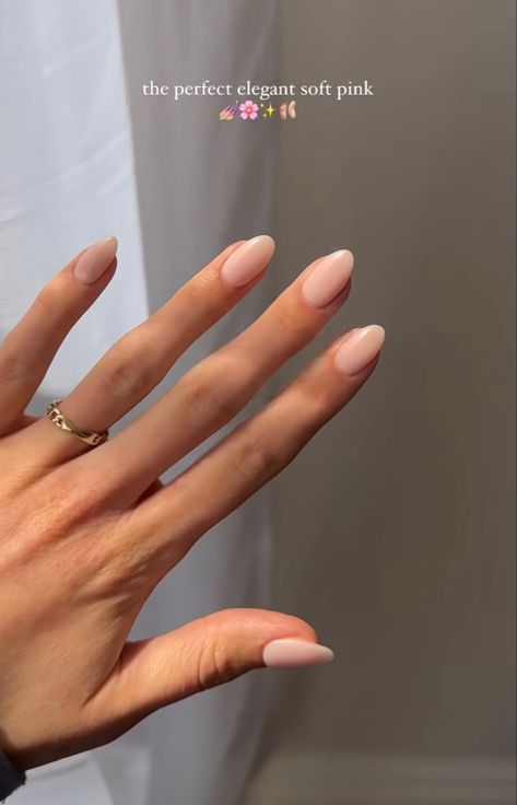 Manicured Nails, Engagement Nails, Manikur Kuku, Milky Nails, Subtle Nails, Casual Nails, Soft Nails, Nagel Inspo, Cat Kuku