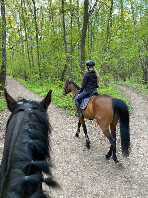 Horse Bucking With Rider, Friends Riding Horses, Equestrian Friends, Horse Girl Aesthetic, Horsey Life, Horse Riding Aesthetic, Horse Barn Plans, Equestrian Aesthetic, Horse Camp