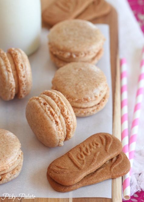 Biscoff Macarons... Love this spin on the Macarons! Biscoff Macarons, Biscoff Buttercream, Kue Macaroon, Picky Palate, Biscoff Spread, Macaron Flavors, Cookies And Milk, Macaron Cookies, French Macaron