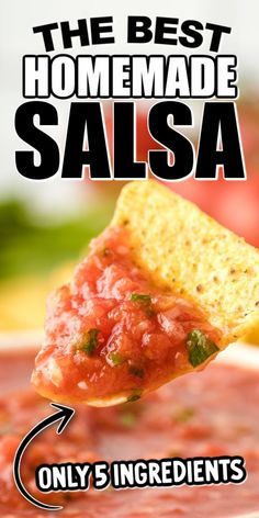 Homemade Chips And Salsa, Homemade Fresh Salsa With Fresh Tomatoes, Salsa Recipe Easy Homemade, Homemade Mild Salsa Recipe, Salsa Not Spicy, Homemade Chunky Salsa Recipe, Best Mild Salsa Recipe, Chip Salsa Recipe, Making Salsa Homemade