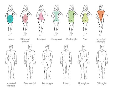 Body Types Chart, Body Shape Chart, Female Body Types, Mens Body Types, Male Body Drawing, Body Chart, Body Type Drawing, Body Shape Drawing, Body Types Women