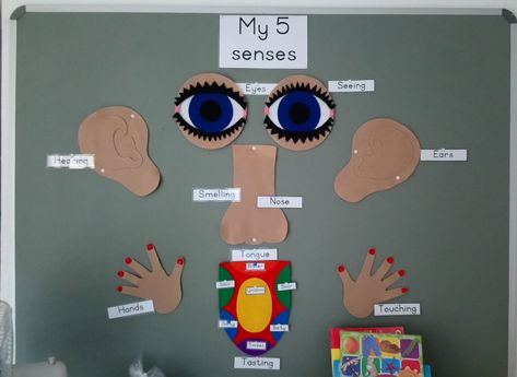 5 senses theme board My Five Senses Preschool Bulletin Board, Five Senses Preschool, Senses Preschool, My Five Senses, Soft Board, Theme Board, Preschool Bulletin, Sense Of Sight, Preschool Bulletin Boards