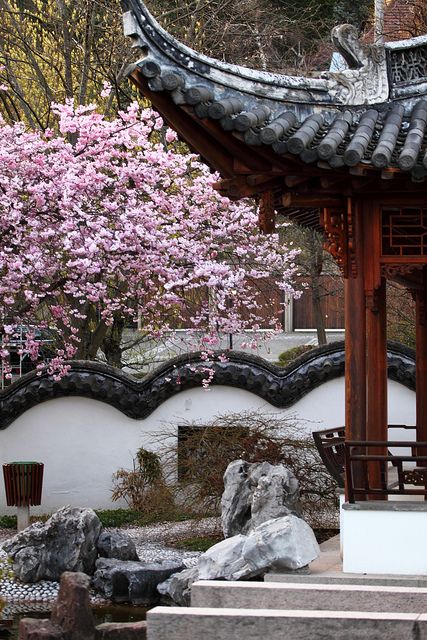 This is Stuttgart as well - Chinese Garden IV | Flickr - Photo Sharing! Chinese Garden Design, Chinese Courtyard, China Garden, Chinese House, Ancient Chinese Architecture, Asian Architecture, Asian Garden, Stuttgart Germany, Chinese Landscape