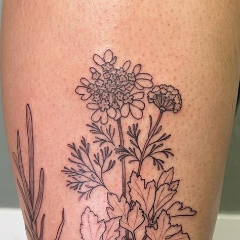 Cilantro Tattoo, Pnw Tattoo, Arizona Tattoo, Tattoo Fine Line, Free Hand Tattoo, Single Needle Tattoo, Delicate Tattoo, Botanical Tattoo, Phoenix Tattoo