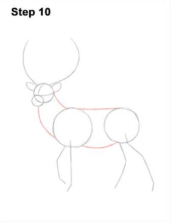 Draw a Red Deer Buck 10 Drawing Deer Sketches, Stag Drawing Easy, How To Draw A Stag, How To Draw A Deer, How To Draw Deer, Deer Video, Deer Drawing Easy, Draw Deer, Draw A Deer