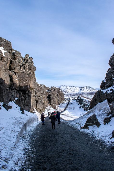 Thingvellir National Park Iceland, Copenhagen Trip, Northern Attitude, Trip Goals, Iceland Pictures, Iceland Winter, Iceland Trip, Thingvellir National Park, Best Trip