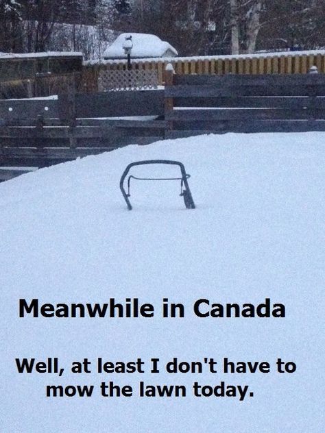 Meanwhile in Canada Canada Humor, Canadian Stereotypes, Snow Meme, Canadian Memes, Canada Memes, Winter Jokes, Canadian Humor, Winter Humor, Canada Snow