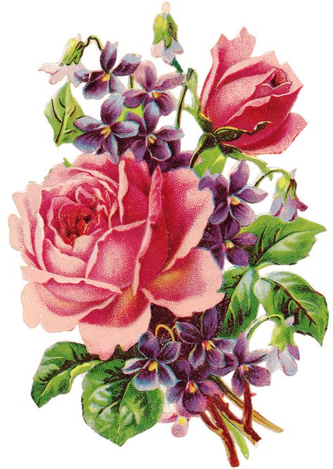 Violet and Roses Roses And Violets, Rosé Png, Valentine Images, Victorian Flowers, Decoupage Vintage, Images Vintage, Floral Image, Clip Art Vintage, Flower Printable