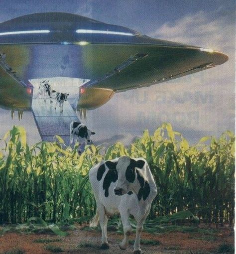 Two Cows, Ufo Art, Alien Artwork, Arte Indie, Arte Alien, Aliens And Ufos, Space Aliens, Crop Circles, Cow Art