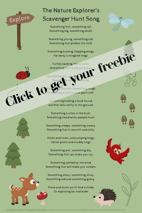 This is a cute nature poem (with fun rhymes) that talks about all the interesting things kids can see, hear and find in nature when they become aware of the world around them. **Download a FREE printable.** Great to use on nature walks, or to hang in the classroom for nature study.  For kids who love exploring nature. Or to get children excited about nature outings. Exploring the outdoors is more fun with a song.  #NatureActivity #ScavengerHunt #NatureStudy #Homeschool #PrintablesKids Nature Poems For Kids, Poem For Kids, Nature Scavenger Hunt, Nature Explorer, Nature Poem, Exploring Nature, Forest School, About Nature, Music Activities