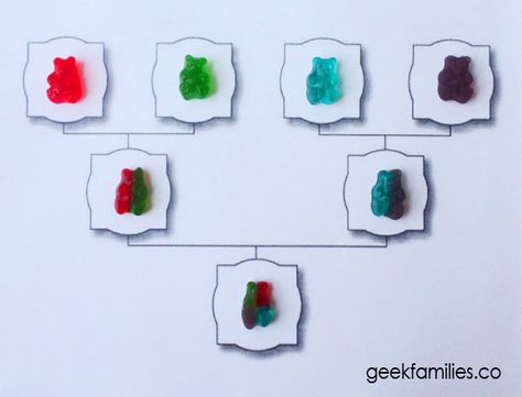 Gummy Bear Genetics, Science Experiments Elementary, Science 3rd Grade, Stem Challenges For Kids, Elementary Science Experiments, Challenges For Kids, Steam Lessons, Stem Lessons, School Science Projects