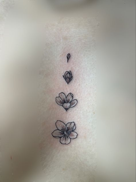 One Cherry Blossom Tattoo, Flower Phases Tattoo, Line Art Cherry Blossoms, Small Japanese Cherry Blossom Tattoo, Plum Blossom Tattoo Small, Blossoming Flower Tattoo, Stages Of Life Tattoo, Blossom Cherry Tattoo, Minimalistic Cherry Blossom Tattoo