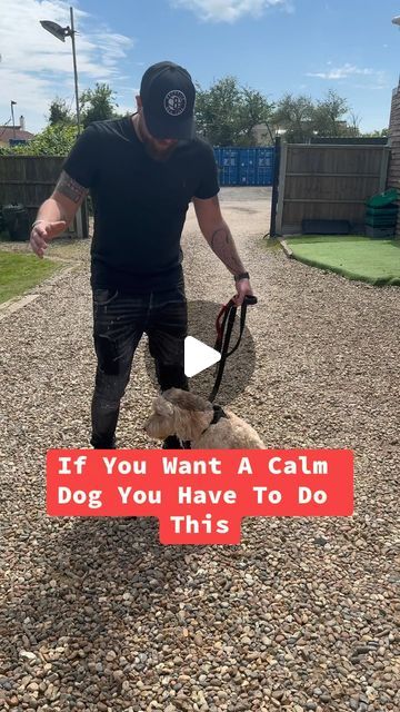 Southend Dog Training on Instagram: "If you want to keep your dog calm do this   #dogs #dogtraining #viral"