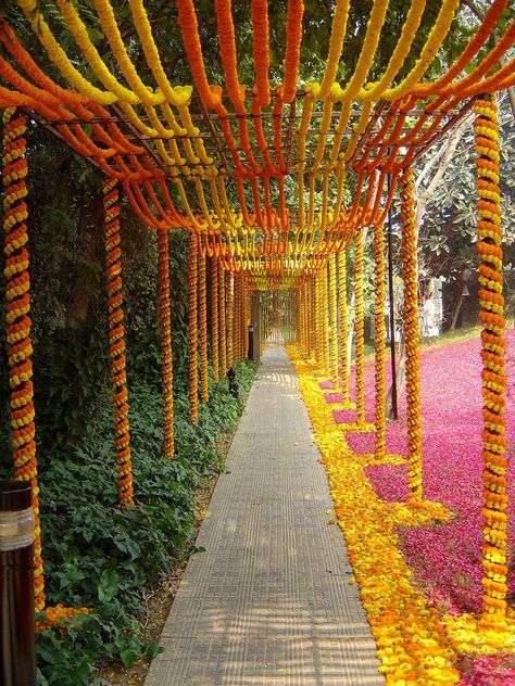 Marriage Entrance Gate Decoration, Maharashtrian Wedding Decoration, Passage Decor, Neat Work, Reception Stage Decor, Haldi Decor, Wedding Sign Decor, Easy Rangoli Designs Videos, Entry Gate