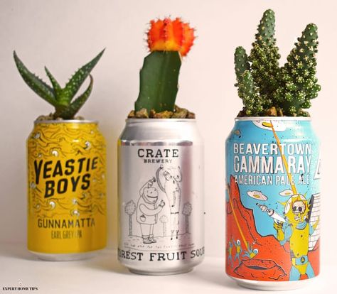 Cactus Planters, Craft Beer Shop, Diy Cactus, Pot Diy, Cactus Plant Pots, Cactus Planta, Plant Pot Diy, Cactus Diy, Desain Lanskap