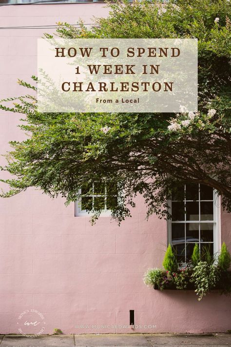 Whether you're a history buff, foodie, beach lover, or art enthusiast, here's the inside scoop, hidden gems, and must-visit spots for your 1 week in Charleston only a local would know. #thingstodoincharlestonsc #charlestontravelguide #monicaedwards #charlestonandme Charleston Travel Guide, East Coast Usa, Charleston Travel, Art Enthusiast, Beach Lover, Girls Weekend, Heart And Soul, Beach Lovers, Charleston Sc