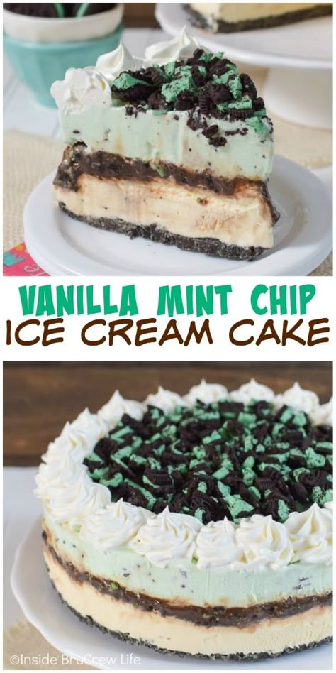 Mint Ice Cream Cake, Chocolate Chip Ice Cream Cake, Mint Chocolate Chip Ice Cream Cake, Ice Cream Fudge, Mint Desserts, Homemade Ice Cream Cake, Fun Ice Cream, Cream Fudge, Mint Chip Ice Cream