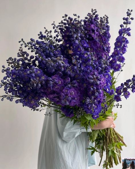 Horizontal Trellis, Purple Delphinium, Plants Photo, Dark Blue Flowers, Plastic Vase, Landscape Plants, Dark Purple Aesthetic, Another Round, Flower Spike