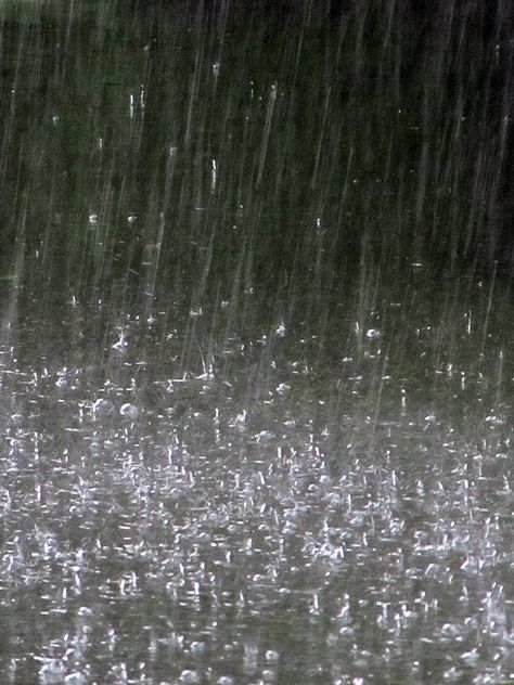 ˚ Rain Photography Aesthetic, Ap Photography, Rainy Forest, Mud Puddle, Forest Core, A Court Of Mist And Fury, Dark Forest, Extreme Weather, Rainy Days