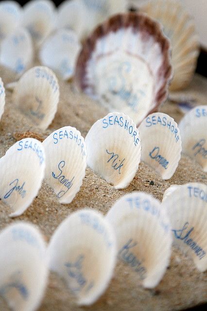 Shell name card sandbox by Cabo Weddings and Events by Mandy Daisy Themed Wedding, Hay Wedding, Name Cards Wedding, Themed Wedding Ideas, Los Cabos Wedding, Wedding Name Cards, Happy Go Lucky, Cabo Weddings, Eco Friendly Wedding