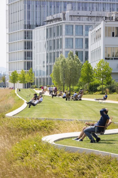 Terrace Landscape Design, Public Landscape Design, Campus Landscape Architecture, Grass Terrace, Park Landscape Design, Landscape Terrace, Naturalistic Planting, Inspirational Landscapes, Terrace Landscape