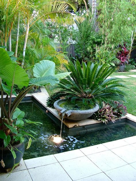 Lavastone bowl overflowing to water reservoir in nedlands garden with cycads and tropical plants Backyard Resort, Garden Water Feature, Tropical Backyard, Pond Ideas, Backyard Water Feature, Garden Wallpaper, Water Features In The Garden, Backyard Diy Projects, Ponds Backyard